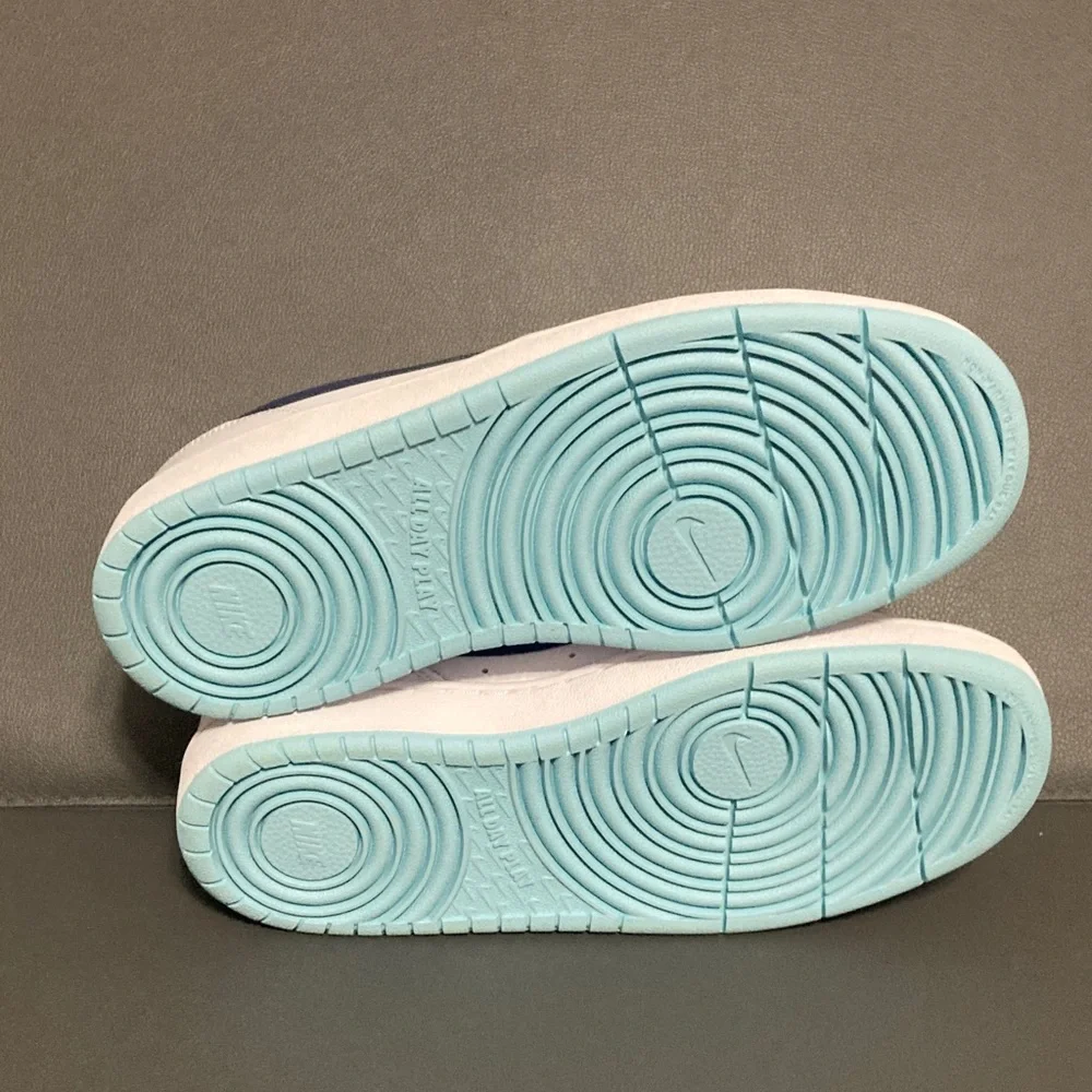 Nike Court Borough Low 2